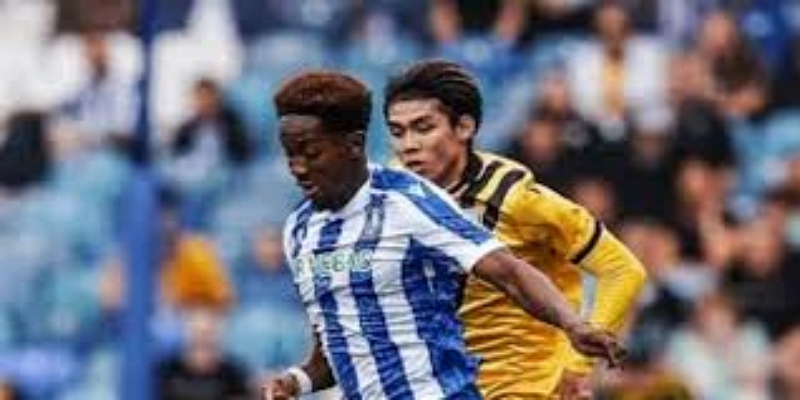 主帅罗尔未来悬而未决：体育博彩视角下的战略变量-体育博彩