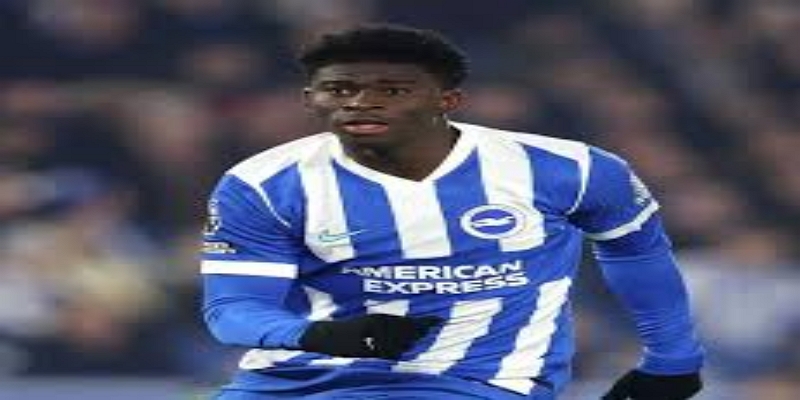 体育博彩与布莱顿新星的未来：投资者该如何看待？- 体育博彩