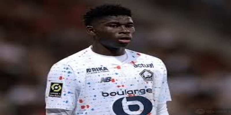 布莱顿足球俱乐部：一项针对未来的豪赌- 体育博彩