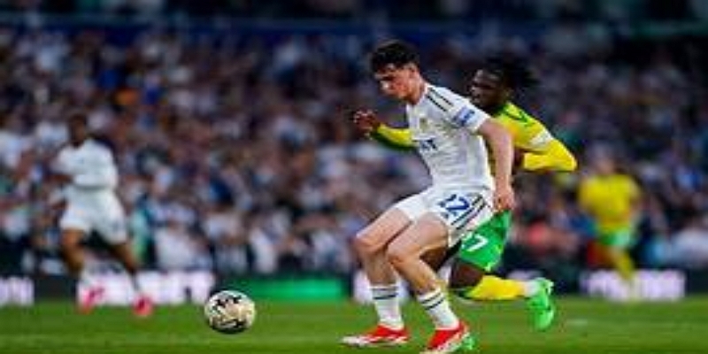 战术分析：查尔顿稳固防守vs韦康比空中优势-体育博彩