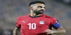 球员聚焦：新星与老将的对话-体育博彩